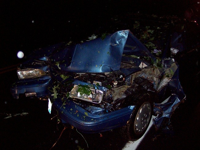 mcfarland 1055 004_650x487